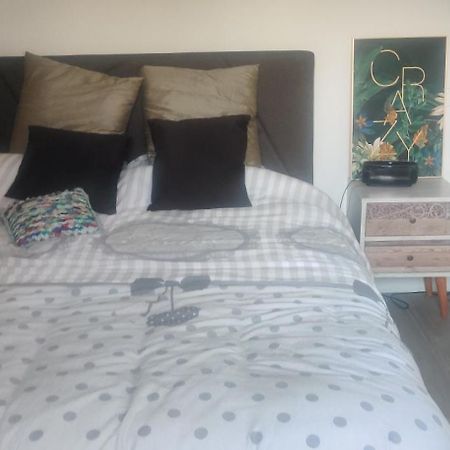 Logement Cosy Neuf Avec Jardin Mions Екстер'єр фото